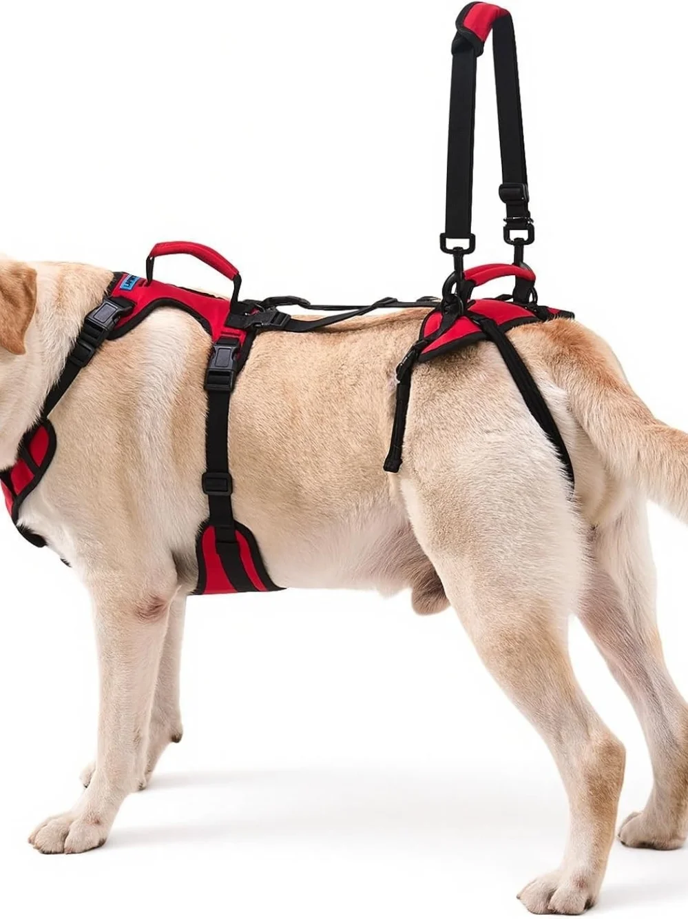 Lafoty Dog Lift Harness for Large Dogs, Full-Body Support Size Large, Red, New